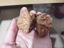 老核農精對官帽蛇王核桃手盤(pán)練手把玩精品文玩包漿核桃古玩手玩 曬單實(shí)拍圖