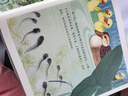 小蝌蚪找媽媽 精裝 繪本 圖畫(huà)書(shū) 曬單實(shí)拍圖