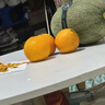 【整箱】產(chǎn)地直采愛(ài)媛果凍橙中大果2.5kg 曬單實(shí)拍圖