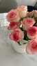 云南鮮花批發(fā)品質(zhì)玫瑰百合水養鮮切花送女友水養鮮花源頭直發(fā) 艾莎（鐵頭公主）-10支 【任選2件—不收運費】 曬單實(shí)拍圖