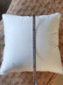 恒源祥純棉抱枕芯 萬(wàn)能方形沙發(fā)靠墊內膽 45 50 55枕頭芯酒店單只一對裝 單只裝-普通款 45cm*45cm 含枕芯 曬單實(shí)拍圖