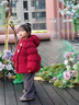班喜迪女童棉服冬裝2025辛苦女寶寶新年衣服兒童冬季外套加厚保暖拜年服 紅色 100 曬單實(shí)拍圖