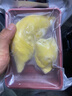 泰國金枕榴蓮肉冷凍樹(shù)熟榴蓮肉 榴蓮果肉凈重370克1盒 曬單實(shí)拍圖