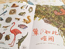 美麗成長(cháng)科普繪本叢書(shū)（全7冊）全角度探秘動(dòng)物巢穴、卵、種子、蝴蝶、甲蟲(chóng)、巖石、貝殼 曬單實(shí)拍圖