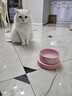 創(chuàng  )京懿選寵物恒溫飲水機貓咪加熱碗冬天喂食喂水酸奶機貓冬季喝水碗飲水器 奶黃波點(diǎn)750ml陶瓷碗+3檔恒溫墊 曬單實(shí)拍圖