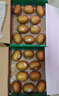 佳沛（zespri）新西蘭  陽(yáng)光金奇異果10粒禮盒巨大果單果約144-175g 水果 獼猴桃 曬單實(shí)拍圖