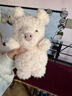 JELLYCAT英國趣味同心鎖瓦爾與蒂娜毛絨玩具禮物娃娃安撫玩偶可愛(ài)毛絨公仔 卷毛小豬18cm 正版 曬單實(shí)拍圖