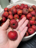 山胖子山楂果大金星山東新鮮水果冰糖葫蘆山里紅酸甜可口現摘現發(fā) 山楂中果5斤（送山楂食譜） 曬單實(shí)拍圖