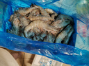 禧美海產(chǎn) 厄瓜多爾巨無(wú)霸白蝦 去冰凈重3斤 30-40只/kg 鹽凍大蝦 海鮮水產(chǎn) 曬單實(shí)拍圖