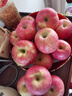京鮮生 洛川蘋(píng)果陜西紅富士?jì)糁?.5斤 單果80-85mm 新鮮水果源頭直發(fā) 曬單實(shí)拍圖