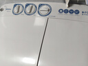 美的（Midea）半自動(dòng)雙桶洗衣機 8公斤洗+5.5脫水雙缸波輪 老人簡(jiǎn)易操作 品質(zhì)電機小巧不占地 租房宿舍必備 二級 MP8DS136 曬單實(shí)拍圖