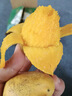 海南金煌芒果10斤生鮮水果當季現摘熱帶新鮮芒果非水仙大芒果 3斤【中果】單果約200g+經(jīng)濟實(shí)惠 曬單實(shí)拍圖
