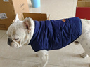 DADAGOU法國斗牛犬專(zhuān)用棉衣服春秋冬法斗英斗八哥沙皮兩腳馬甲加厚保暖 【藍色】經(jīng)典斗牛棉馬甲 XL 參考18-25斤 胸圍60 頸圍44 曬單實(shí)拍圖