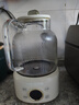 九陽(yáng)全玻璃養生壺 0膠水煮茶壺煮茶器316L濾網(wǎng) 辦公室花茶壺養生燒水壺燉煮壺一體養生電燉杯電熱杯 【配316L茶籃】WY101 1L 曬單實(shí)拍圖