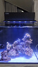 方小章背濾海水缸全套小丑魚(yú)珊瑚缸新手中小型客廳桌面方缸超白玻璃魚(yú)缸 HB500-標配+擋板(升級加熱棒區) 曬單實(shí)拍圖