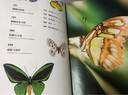 中國國家地理普林斯頓大學(xué)生物圖鑒 昆蟲(chóng)微生物動(dòng)植物海洋生物自然百科科普讀物書(shū)籍 昆蟲(chóng)世界三冊套裝（甲蟲(chóng)+飛蛾+蝴蝶） 曬單實(shí)拍圖