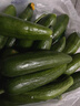 壽光水果黃瓜山東時(shí)令果蔬小青瓜蔬菜火鍋食材清脆爽口產(chǎn)地直發(fā) 水果黃瓜帶箱5斤【劃算】 曬單實(shí)拍圖