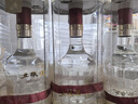 五糧液 普五八代 濃香型白酒 52度 500ml 單瓶 新老包裝隨機 官方授權 曬單實(shí)拍圖