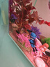 HIDOM希騰魚(yú)缸造景 當貝智能魚(yú)缸專(zhuān)用仿真蘑菇屋鴻運當頭造景套餐 曬單實(shí)拍圖