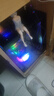 華碩品牌臺式機 酷睿i5 12600KF/14600KF RTX4060/4060Ti/5060/5060ti/5070游戲組裝電腦DIY游戲整機 配三福利版 i5-14600KF+RTX4060 曬單實(shí)拍圖