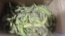 新鮮青毛豆現摘帶殼毛豆鮮嫩毛豆角農村自種蔬菜應季青毛豆 新鮮精品-帶殼毛豆-5斤 曬單實(shí)拍圖