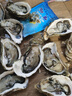 鮮京采 鮮活生蠔4XL 凈重5斤 10-13只 鮮活到家 生鮮海鮮 源頭直發(fā) 曬單實(shí)拍圖