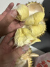 沂蒙花果山榴蓮泰國金枕榴蓮新鮮整果帶殼水果A果 4-5斤（1個(gè)AA裝包4房） 曬單實(shí)拍圖