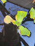 森悠（SARYOR）水芙蓉浮萍水草魚(yú)缸造景裝飾養魚(yú)養龜活體植物漂浮真水草凈化水質(zhì) 水芙蓉5顆【無(wú)需打理】 否 曬單實(shí)拍圖