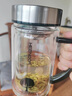 希諾（HEENOOR）雙層玻璃杯帶把手柄老板辦公泡茶杯子女官方旗船店茶杯男商務(wù)水杯 小樹(shù)款 雙層帶濾網(wǎng) 禮盒435ml 曬單實(shí)拍圖