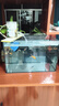 海諳魚(yú)缸客廳金魚(yú)缸懶人透明直角陽(yáng)臺家用桌面缸造景中小型生態(tài)水族箱 40長(cháng)23寬25高裸缸 曬單實(shí)拍圖