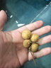 泰國龍眼新鮮進(jìn)口鮮桂圓大果應季現摘鮮甜水果京東包郵 帶盒2斤裝 曬單實(shí)拍圖