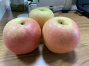 南步正宗大連王林蘋(píng)果【順豐速發(fā)】紅臉雀斑美人梨味青森蘋(píng)果新鮮水果 5-5.4斤 優(yōu)選特大果【約9枚】 曬單實(shí)拍圖