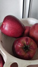集南鮮 花牛蘋(píng)果 甘肅當季新鮮紅蛇粉面蘋(píng)果 嬰兒輔食水果中秋禮盒送禮 10斤特級果 單果70mm起 凈重8.5斤 曬單實(shí)拍圖