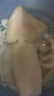 賣(mài)魚(yú)七郎 鮮凍魷魚(yú)大號整只凈重1.4斤 2-3只鐵板魷魚(yú)火鍋燒烤食材海鮮水產(chǎn) 曬單實(shí)拍圖
