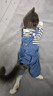 阿莫爾狗狗衣服可牽引寵物四腳衣泰迪比熊博美小型犬寵物貓咪春秋季外套 三小熊背帶褲 XS 建議1-3斤 具體參考尺碼表 曬單實(shí)拍圖