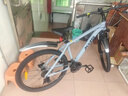 喜德盛（xds）山地自行車(chē)旭日310鋁合金車(chē)架21速入門(mén)通勤成人單車(chē) 石巖灰17 曬單實(shí)拍圖