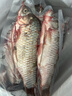 御瀘鮮湘正宗微山湖野鯽魚(yú)土鯽魚(yú)鮮活現殺現發(fā)淡水鯽魚(yú)大鯽魚(yú)小鯽魚(yú)批發(fā) 中鯽魚(yú)3斤裝(4-6條/斤) 順豐發(fā)貨 曬單實(shí)拍圖