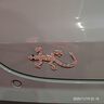 麗田鑲鉆壁虎車(chē)貼尾標裝飾3D立體貼金屬汽車(chē)貼紙創(chuàng  )意車(chē)劃痕遮擋裝飾貼 鑲鉆壁虎銀色1只 曬單實(shí)拍圖