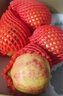 京覓四川突尼斯軟籽甜石榴新鮮水果8枚大果單果450g+源頭直發(fā)包郵  曬單實(shí)拍圖