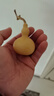 天然葫蘆文玩帶龍頭手捻把玩小精品野生葫蘆迷你家居客廳擺件 1個(gè)精品級【4-6厘米龍頭葫蘆】 曬單實(shí)拍圖