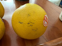 褚橙 云南冰糖橙  特級果 XL10斤裝 單果約165g起 生鮮水果禮盒 曬單實(shí)拍圖