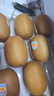 佳沛（zespri）新西蘭  陽(yáng)光金奇異果25-27粒原箱特大果單果約122-146g  獼猴桃 曬單實(shí)拍圖