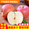 玖原農珍 甘肅靜寧富士大漠冰糖心蘋(píng)果源頭直發(fā)采摘新鮮禮品水果含箱 5斤凈果4.5斤優(yōu)選果70-80mm 曬單實(shí)拍圖