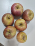 果陸園正宗冰糖心蘋(píng)果紅富士 脆甜時(shí)令丑蘋(píng)果 整箱平果節日送禮平安果 整箱5斤精選70-90MM凈4.5斤 曬單實(shí)拍圖