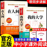 全套2冊 在人間和我的大學(xué)高爾基原著(zhù)完整版六年級必讀正版課外書(shū)四五年級小升初小學(xué)生課外閱讀書(shū)籍名著(zhù)暢銷(xiāo)書(shū)排行榜童年三部曲 【全套2冊】在人間+我的大學(xué) 送考點(diǎn) 曬單實(shí)拍圖