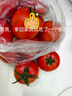 京鮮生沙瓤粉西紅柿 凈重3斤 單果100g+果菜兩吃 源頭直發(fā) 【搜生鮮館】 曬單實(shí)拍圖