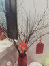 雪柳干枝鮮枝水養插花水培植物鮮花卉室內盆栽帶花苞綠植龍柳好活 當天現切雪柳鮮枝60-70cm12枝+送營(yíng)養液 曬單實(shí)拍圖