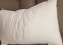 水星家紡枕頭枕芯酒店枕頭護頸枕頭芯家用一對純棉抗菌可水洗高枕48x74cm 曬單實(shí)拍圖