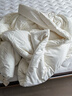 無(wú)印良品A類(lèi)100%新疆純棉花被子 春秋被芯空調被冬季棉被 厚6斤 200*230cm 曬單實(shí)拍圖
