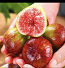 壹萌果蔬云南紅皮無(wú)花果【JD順豐多地次日達】新鮮無(wú)花果鮮果水果當季現摘 3斤7A精品大果【單果40g+】?jì)?斤 曬單實(shí)拍圖